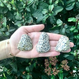 Tumbled Dalmatian Jasper🖤